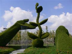 Topiary Photos